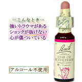 Хåեǥ ֥٥ĥإ å-դ˾ 10ml 1