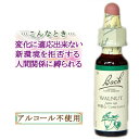 バッチフラワーレメディ ウォルナット 癒しグッズ-人や周囲に敏感 10ml 1本