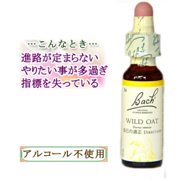 バッチフラワーレメディ ワイルドオート 癒しグッズ-内心の不確かさ 10ml 1本