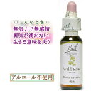 バッチフラワーレメディ ワイルドローズ 癒しグッズ-現実への無関心 10ml 1本