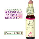 バッチフラワーレメディ ウィロー 癒しグッズ-失意と絶望 10ml 1本