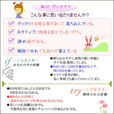 バッチフラワーレメディ ゲンチアナ 癒しグッズ-内心の不確かさ 10ml 1本