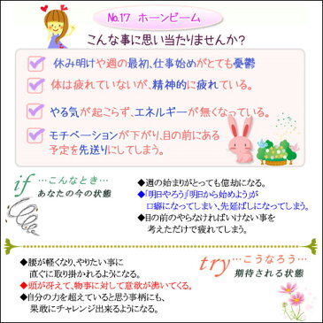 バッチフラワーレメディ ホーンビーム 癒しグッズ-内心の不確かさ 10ml 1本