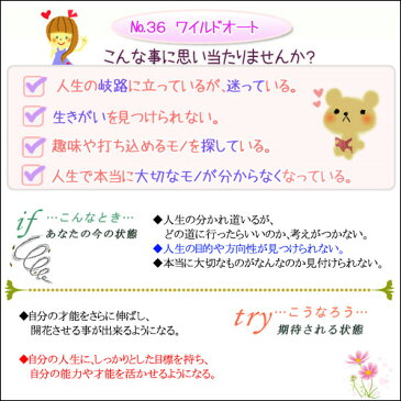 バッチフラワーレメディ ワイルドオート 癒しグッズ-内心の不確かさ 10ml 1本