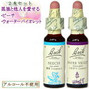 バッチフラワーレメディ 孤独と他人を愛せるセット(ビーチ、ウォーターバイオレット) 10ml グリセリンタイプ(4)