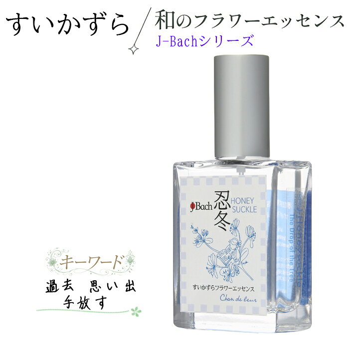 内容量 20ml 保存方法 開封後は直射日光を避けて冷暗所(常温)で保管してください。 ご使用方法 1回4滴を1日4回を目途にお使い下さい。 原産国 日本 発売元 株式会社シャンドゥルール|株式会社たすけあい 商品区分 シングルエッセンス 広告文責 株式会社ハーブレンド03-3897-5473