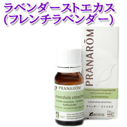 プラナロム ラベンダーストエカス エッセンシャルオイル 10ml 1本