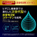herb-kenko-honpo:10000210のサンプル画像3