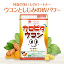 【公式】カロピタウコン (90粒入) / ウコンに含まれる「クルクミン」と、しじみの約400個分の「オルニチン(アミノ酸)」をダブル配合。|ハーブ健康本舗