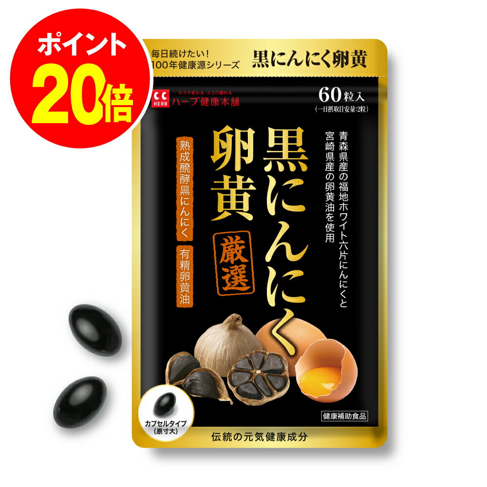 発酵黒にんにく粒　90粒（22.5g） 青森県福地ホワイト六片種の生ニンニク使用 [02] NICHIGA(ニチガ)