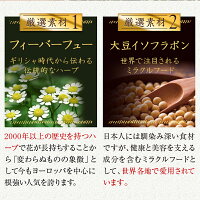 ズキラック漢方生薬サプリメント1袋90粒入り頭痛有料成分天然成分美容成分フィーバーフューフランス海岸松樹皮エキスビタミンB2大豆抽出物イソフラボンチェストベリーエキスケイヒエキスシナモン冬虫夏草菌糸体粉末