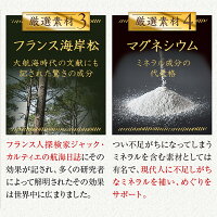 ズキラック漢方生薬サプリメント1袋90粒入り頭痛有料成分天然成分美容成分フィーバーフューフランス海岸松樹皮エキスビタミンB2大豆抽出物イソフラボンチェストベリーエキスケイヒエキスシナモン冬虫夏草菌糸体粉末