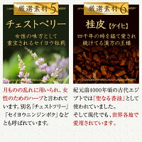 ズキラック漢方生薬サプリメント1袋90粒入り頭痛有料成分天然成分美容成分フィーバーフューフランス海岸松樹皮エキスビタミンB2大豆抽出物イソフラボンチェストベリーエキスケイヒエキスシナモン冬虫夏草菌糸体粉末