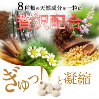 ズキラック漢方生薬サプリメント1袋90粒入り頭痛有料成分天然成分美容成分フィーバーフューフランス海岸松樹皮エキスビタミンB2大豆抽出物イソフラボンチェストベリーエキスケイヒエキスシナモン冬虫夏草菌糸体粉末