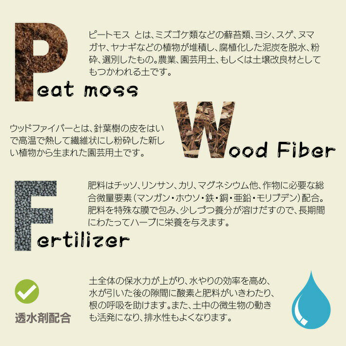 ���ޤ����ϡ��֥��å� 12������������ä��ϡ�������Ź��NEW������5L��4�� ������� �֥������� ������� ����ľ�� �ϡ���������Ź �ϡ����� ���å�