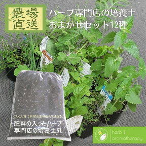 おまかせハーブセット 12種と肥料の入ったハーブ専門店のNEW培養土5L×4袋 園芸用品 ブレンド用土 園芸用土 農場直送 ハーブ苗専門店 ハーブ苗 セット