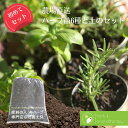 ハーブ苗6種とNEW培養土5L おまかせセット 初めてハーブを育てるなら 簡単3ステップ 選べるテーマ 農場厳選おまかせ&すぐに植えれる培養土のセット 料理を楽...