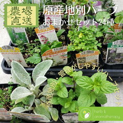 https://thumbnail.image.rakuten.co.jp/@0_mall/herbalk/cabinet/08255002/gensanti24.jpg