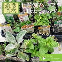 https://thumbnail.image.rakuten.co.jp/@0_mall/herbalk/cabinet/08255002/mokuteki24.jpg