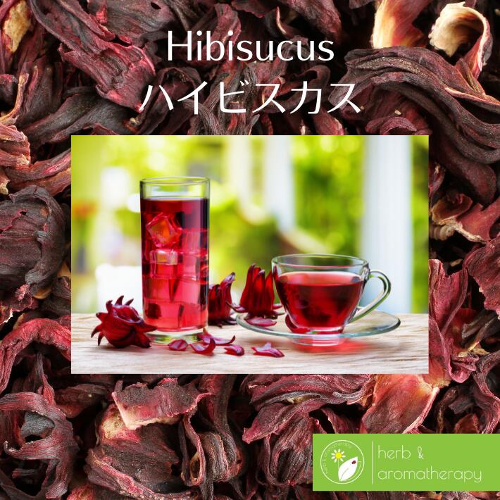 ハイビスカス ローゼル 量売 100g~ バルクハーブ シングルハーブ ハーブティー 茶葉 お菓子材料 フラワー 花 Hibiscus
