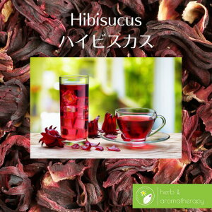 ハイビスカス ローゼル 量売 100g~ バルクハーブ シングルハーブ ハーブティー 茶葉 お菓子材料 フラワー 花 Hibiscus