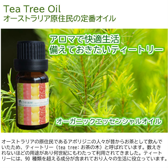 ティートリー 10mL ティーツリー ティートゥリー アロマオイル オーガニック レルブ アロマテラピー エッセンシャルオイル 精油 100% Tea Tree セラピュティックグレード ギフト プレゼント L'HERBE organic aromatherapy Tea Tree herbalk-10000164 ハーブとアロマテラピー サンプル画像2