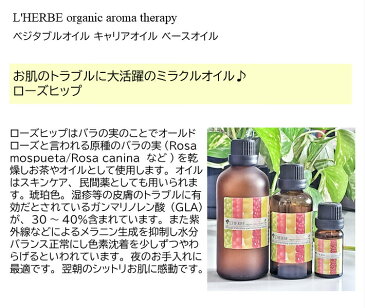 ローズヒップ 50mL バラ種子油 ヴァージン レルブ オーガニック キャリアオイル ベースオイル ベジタブルオイル 植物油 希釈用オイル 美容オイル スキンケア セラピュティックグレード 有機栽培 ボディオイル アロマテラピー