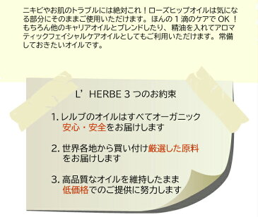 ローズヒップ 50mL バラ種子油 ヴァージン レルブ オーガニック キャリアオイル ベースオイル ベジタブルオイル 植物油 希釈用オイル 美容オイル スキンケア セラピュティックグレード 有機栽培 ボディオイル アロマテラピー