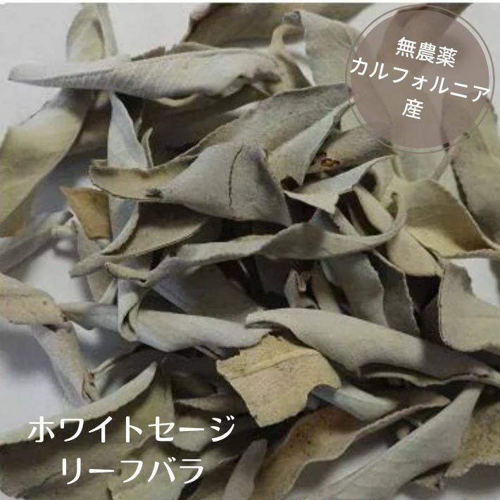 ۥ磻ȥ ߥ˥ѥå ꡼ Х ѥƥ ޥå4g ̵ ʥ  White Sage