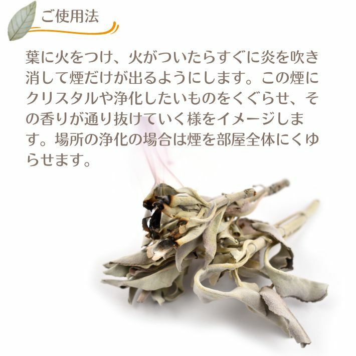 ホワイトセージ 浄化用アイテム クラスター 茎付きリーフ　バー　リーフ 量売10g～...
