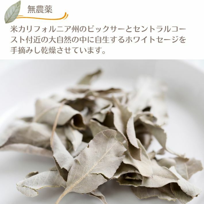 �ۥ磻�ȥ����� �ߥ˥ѥå� �꡼�� �Х� �����ѥ����ƥ� ���ޥå���4g ̵���� �ʥ����� �������� White Sage