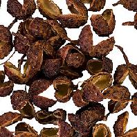 100g単位量売 サンショウ ホアジャオ 花椒 バルクハーブ シングルハーブ クッキング 香辛料 ベリー 実 Sichuan pepper