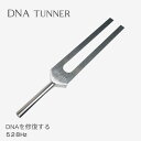 チューナー 音又 DNAを修復する癒しの音 DNAチューナー 音又 528Hz ソルフェジオ周波数 アメリカ BIOSONICS社製 DNA Tuner メール便可能 その1