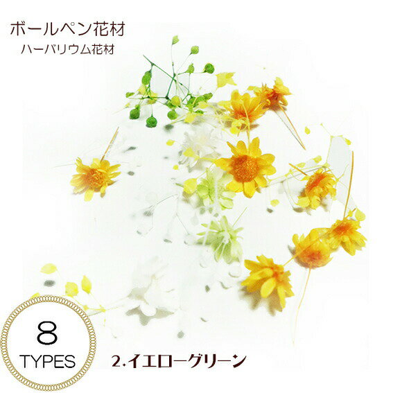 �������ݥ����ۡ� �ϡ��Хꥦ�� �ܡ���ڥ� �ֺ� [�ܡ���ڥ�������] �������ե� 8���å����� �ϡ��Хꥦ��ܡ���ڥ󥭥å� ��ŷ��󥭥�1��