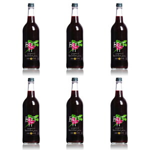 【クーポン配布中】あす楽 ビートイット 750ml 6本セット ビートルートジュース BEET IT THALGO 1本×6 ビーツ 美容 健康 腸活 ドリンク ドリンク タルゴ エヌオー 正規品 最新入荷