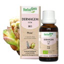 HerbalGem ジェムレメディ 新芽のエネルギー ダーマジェム BIO DERMAGEM 皮膚のケア ダーマジェムは、エルムやカシス、ランタナカマズミ等を 配合し皮膚の健康をサポート ベルギー発、自然療法のハーバルサプリメントです。 ハーバルジェムは医薬品ではありません。 ＊重度の病気、疾患のある方は、病院での治療をお受け下さい。 &nbsp; 原材料 　ニレの芽、ランタナガマズミの芽、カシスの葉エキス、オークの芽*、アルコール*（35％）、水、植物性グリセリン&#160; *認定有機農業の成分 原産国 　ベルギー メーカー名 　HerbalGem 区分 　液体サプリメント ご使用量の目安 　1日5～15滴を空腹時に水やぬるめの白湯に混ぜてお飲みください。 広告文責 　株式会社サンファーム商事 　TEL. 03-3866-1712 &nbsp; 20歳未満への酒類の販売はいたしておりません。