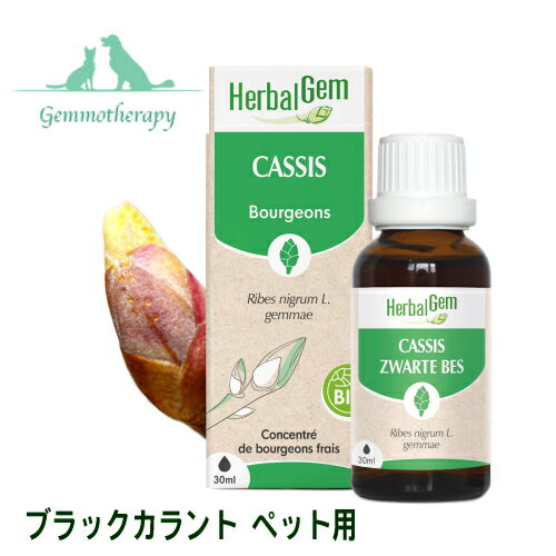 HerbalGem ジェムレメディ 新芽のエネルギー ブラックカラント BIO Black currant/CASSIS 本場ベルギー ジェモセラピーの本流 “HerbalGemハーバルジェム”は創業35年以上の歴史をもち、新芽と植物のエキスを使った製品を幅広く提供しています。本場ベルギーのジェモセラピーのパイオニアです。その製品は、有機農法で栽培された新鮮な植物の新芽やつぼみだけを使用し、ジェモセラピーの本流といえる希釈しない原液タイプのレメディで60種以上の品揃えを誇り、世界的に高い評価と信頼を得ています。 “ハーバルジェム”レメディの高い品質 　　　　自社の森や農地から収穫したBIO(有機農法）認定 (CER 　　　　TISYS-BE-BIO-01 Control認定)の新鮮な新芽・つぼみの 　　　　みを使用して、ジェモレメディを製造しています。 　　　　ジェモレメディには、植物のすべてが凝縮されています。 　　　　新芽・つぼみのエキスは、その植物の全遺伝子情報を持つ 　　　　細胞(幹細胞)で構成され植物すべての特性を含んでいます。 　　　　ジェモレメディには、原液タイプと希釈タイプ(10倍希釈 　　　　D1タイプ)の2種類があります。”HerbalGem“は原液タイ 　　　　プにこだわり丁寧に製造しています。希釈を行わないため 　　　　新芽の有効成分がすべて保持された状態で、投与量は希釈 　　　　のD1タイプのおよそ1/2で充分に効能を実感できます。 　　　　BIO(有機)農産物は化学肥料や農薬を使用しない健康な土 　　　　で栽培され、世界で最も厳しい有機認定機関の一つ、欧州 　　　　フランス政府認定機関より認証されています。 HerbalGem品種＜ハーブインフォメーション＞ ＊目的に応じて各種ハーブ（有用植物）を選択して使用します。 【ブラックカラント】　免疫力疾患の対応 副腎は、腎臓の上にある小さな内分泌腺で、生命力にかかわるホルモンを分泌する重要な内分泌器官です。ブラックカラント(クロスグリ)は副腎皮質の分泌を刺激し、痒みや炎症、アレルギーの初期炎症性に対応します。粘膜液炎症にも対応し、副腎のサポートケアになります。 本場ベルギー発、自然療法のハーバルサプリメントです。 ハーバルジェムは医薬品ではありません。 ＊重度の病気、疾患のある方は、病院での治療をお受け下さい。 &nbsp; 【使用方法】　キャップを開けて、ボトルの注ぎ口を下に垂直に保持してご使用ください。 　目安として1日1～2回、新鮮な飲み水に下記量を垂らして与えてください。 水を全量飲まない場合は適宜調節してください。 大型犬・・・・・・・1回あたり、200mlの新鮮な水に7滴程度 中・小型犬・・・1回あたり、200mlの新鮮な水に5滴程度 猫・・・・・・・・・・・1回あたり、200mlの新鮮な水に3滴程度 　 〇アルコールが気になる場合は、水に混ぜ揮発を促し少し時間をおいてから与えてください。 〇少量からスタートし、必要に応じて量を調節していくこともできます。 〇3週間継続して飲んだ後に、1週間お休みしてください。これを3セット継続してください。 その後は、健康維持のために随時与えてください。 ＜ジェモセラピー ペット用 30ml 11種類 (15ml/50mlは在庫限り)＞ ◆コモンジュニパー (肝臓・腎臓用) ◆ライムツリー (神経用) ◆オリーブ (血管用) ◆フィグツリー (胃腸用) ◆ブラックカラント (副腎用) ◆ホーソン (心臓用) ◆ローズマリー (胆嚢用) ◆リシィツリー (肺・気管支用) ◆バーチ (腎臓・全身用) ◆ウォールナッツ (膵臓用) ◆マウンテンパイン (骨・関節用) 原材料 　カシス(Ribes nigrum (L.) gemmae)のつぼみ*、アルコール*、水、植物性グリセリン *認定有機農業の成分 原産国 　ベルギー メーカー名 　HerbalGem 区分 　ペット用液体サプリメント 広告文責 　株式会社サンファーム商事 　TEL. 03-3866-1712 &nbsp;