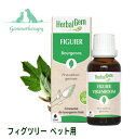 フィグツリー BIO ジェモセラピー ペット用 消化システムの癒し 猫用 犬用【 動物用 ハーバルジェモ 有機 新芽のちから シングル レメディ サプリ フィグ いちじく Fig FIGUIER 正規輸入元】あす楽