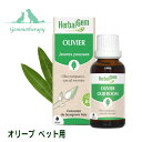 オリーブ BIO ジェモセラピー ペット用 良質な血液の循環 猫用 犬用【動物用 ハーバルジェム 正規品 有機 新芽 シングル レメディ チンキ Olive OLIVIER】 あす楽