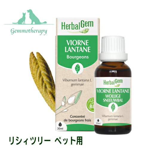 リシィツリー BIO ジェモセラピー ペット用 呼吸機能の再生サポート 猫用 犬用【動物用 ハーバルジェモ 有機 新芽のちから シングル レメディ サプリ ランタナガマズミ Lithy Tree VIORNE 正規輸入元】 あす楽