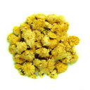 カモミールローマン 20g 100g 1kg ハーブティー カモマイル 自然茶 ドライハーブ シングル カモミールティー 業務用