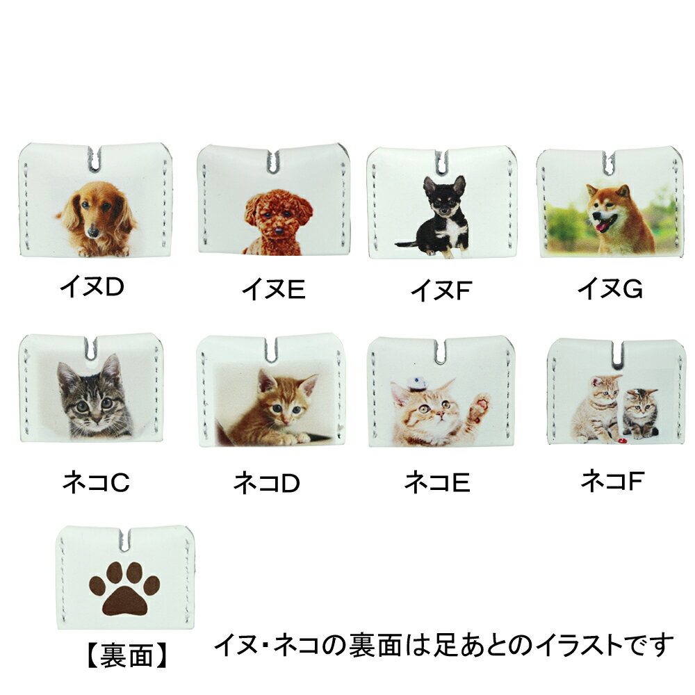 �����͹�ظ��� ����̵���쥶�� �������С� ưʪ ���� �ͥ����� ��������å�