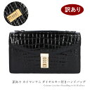 訳あり カイマンワニ レザー ハンドバッグ クラッチバッグ ブラック ダイヤルキー付 送料無料 レディース メンズ ギフト プレゼント