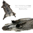 ブルーフロストフォックス ファー 原皮 顔付き ボア 剥製 フォックス シルバーフォックス ブルーフォックス エクステル ナチュラルカラー ハギレ 送料無料 レ...