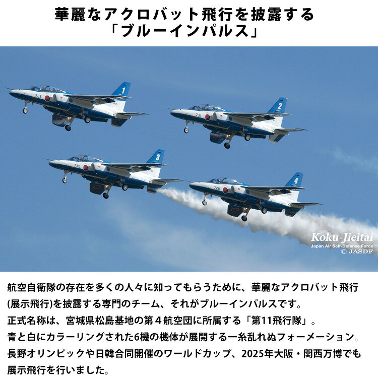 エルベート ブルーレーベルの【名入れ対応】ブルーインパルス ペン立て ペンスタンド 本革 小物入れ 文房具 ベジタブルレザー 牛革 レザー 第4航空団 第11飛行隊 文具 オリジナル ギフト プレゼント ブラウン チョコ キャメル レッド ネイビー カーキ｜アングル2
