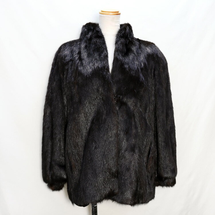 ߥ ե 㥱å ֥å ѥե꡼ ̵ ǥ ե ץ쥼