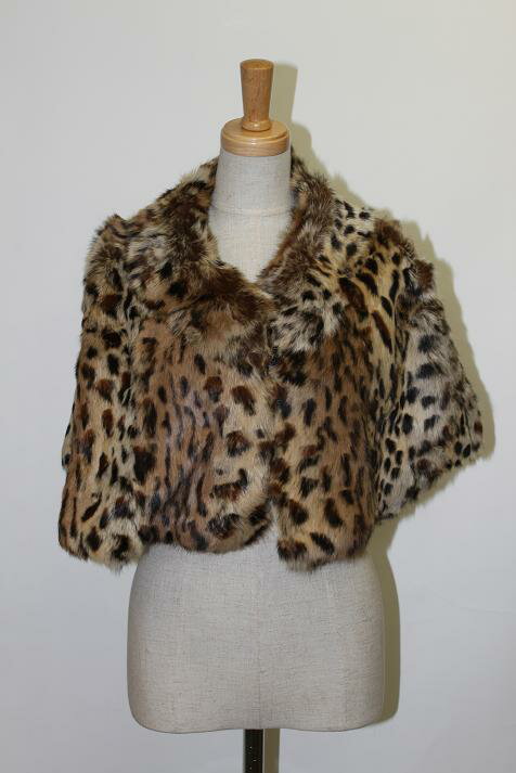 ��ӥå� �ե��� ������ ���˥ޥ��� ����̵�� ��ǥ����� ���ե� �ץ쥼���