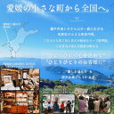 【送料無料】【ギフト】ハーブティー10種類　選べる贅沢10袋！プレゼント ギフト 母の日 お歳暮 香典返し 個包装 バレンタイン ハーブティーセット 内祝い 結婚祝い 快気祝い 誕生日プレゼント 妊婦 無添加　退職祝い 3