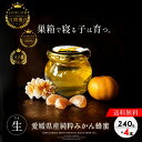 【送料無料】国産 みかんはちみつ 240g×4本セット はちみつ 国産 非加熱 蜂蜜 生はちみつ はちみつ ハチミツ みかん蜂蜜 みかんハチミツ 純粋 生蜂蜜 ...