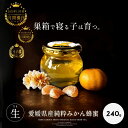 国産 みかんはちみつ 240g はちみつ 国産 非加熱 蜂蜜 生はちみつ はちみつ ハチミツ みかん蜂蜜 みかんハチミツ 純粋 生蜂蜜 純粋はちみつ 健康食品...